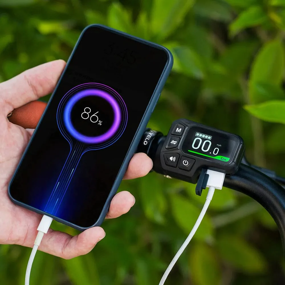 Fiido C11 Pro - Image 8